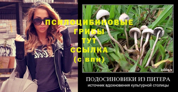 амф Белоозёрский