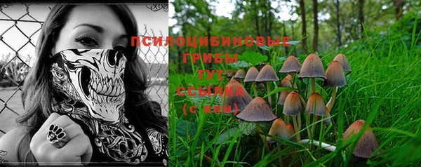 синтетический гашиш Белокуриха