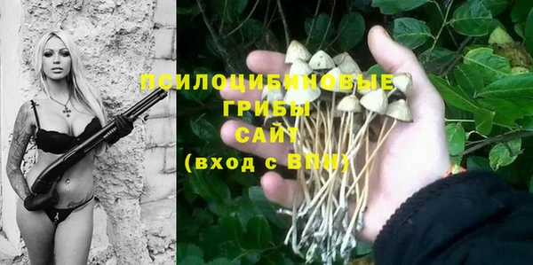 а пвп мука Беломорск