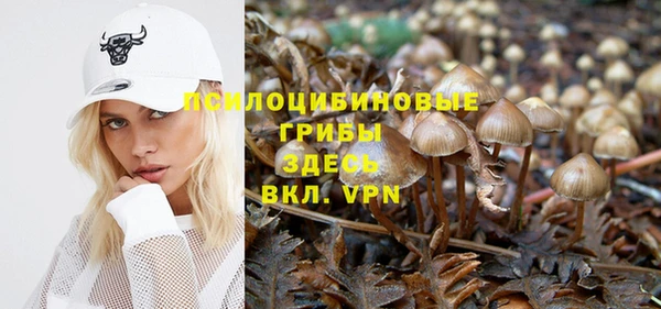 амф Белоозёрский