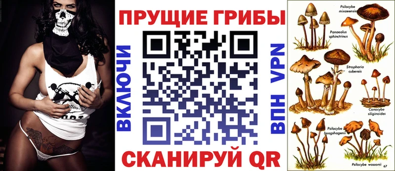 Псилоцибиновые грибы Psilocybe  наркотики  Купино 